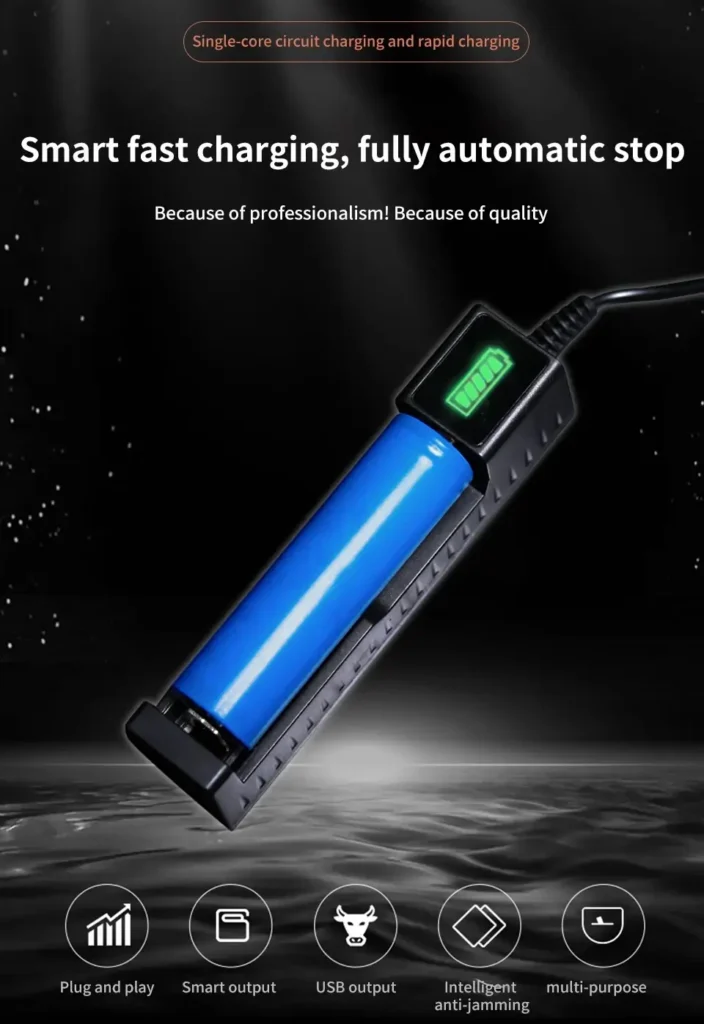 Best 18650 Lithium Battery USB Smart Charger