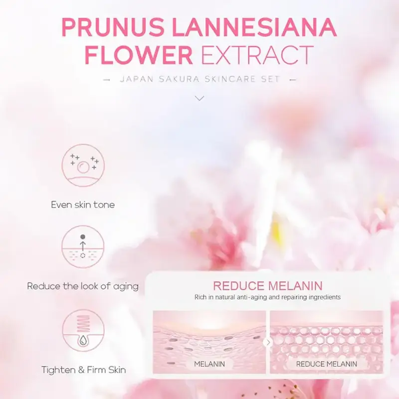 Scientific diagram showing how cherry blossom extract works to reduce melanin and tighten skin layer.