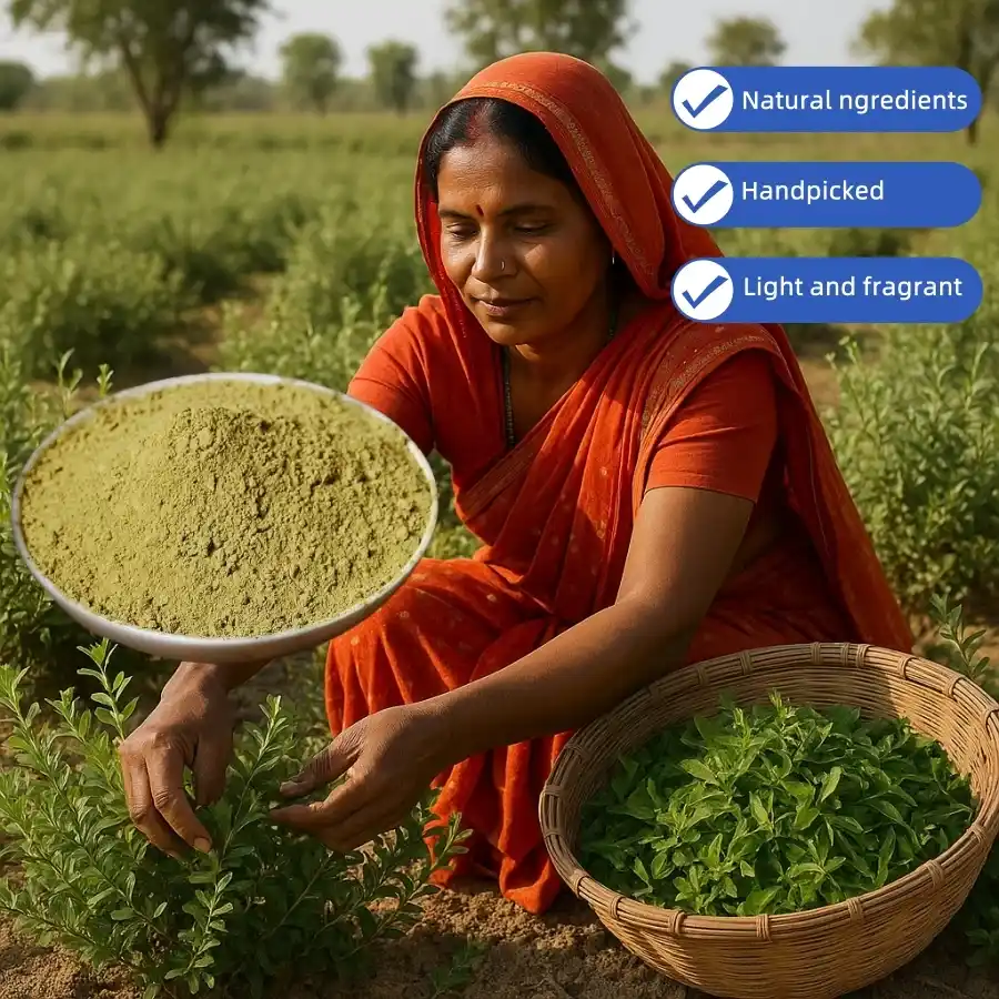 A woman in a field harvesting fresh henna leaves next to a bowl of organic green henna powder.