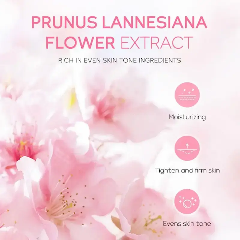 Pink cherry blossom petals highlighting the natural benefits of prunus lannesiana flower extract for evening skin tone.