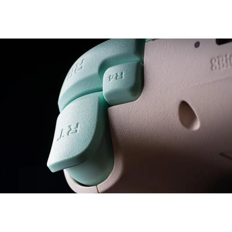 8BitDo Ultimate 2C Hall Effect triggers and L4 R4 buttons