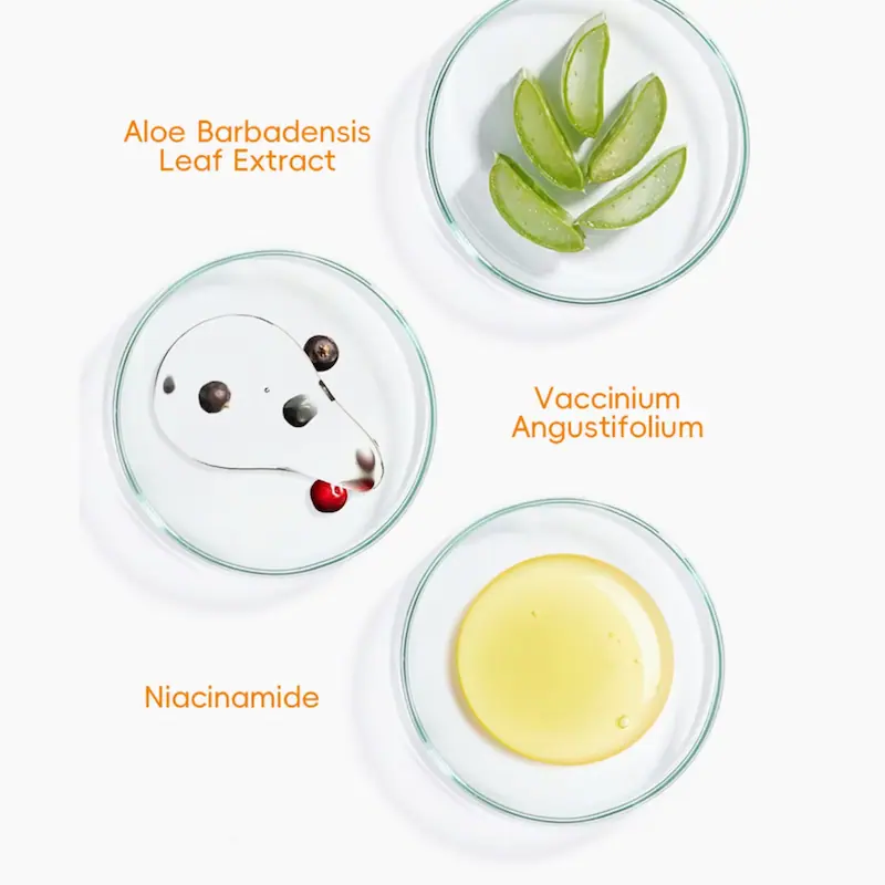 Laboratory petri dishes showing key ingredients: Niacinamide, Aloe Barbadensis Leaf Extract, and Vaccinium Angustifolium.