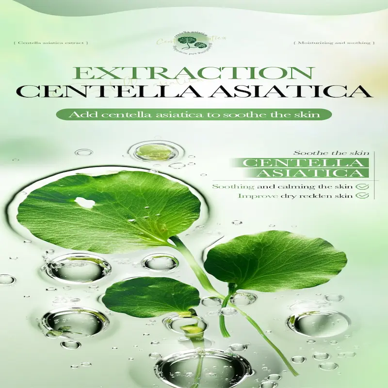 Illustration of Centella Asiatica leaves and water droplets highlighting soothing and calming properties for reddened skin.